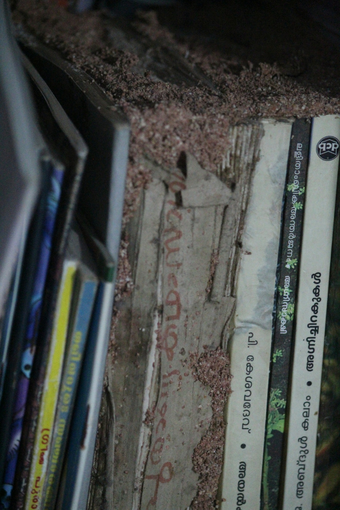 a bunch of books that are on a shelf
