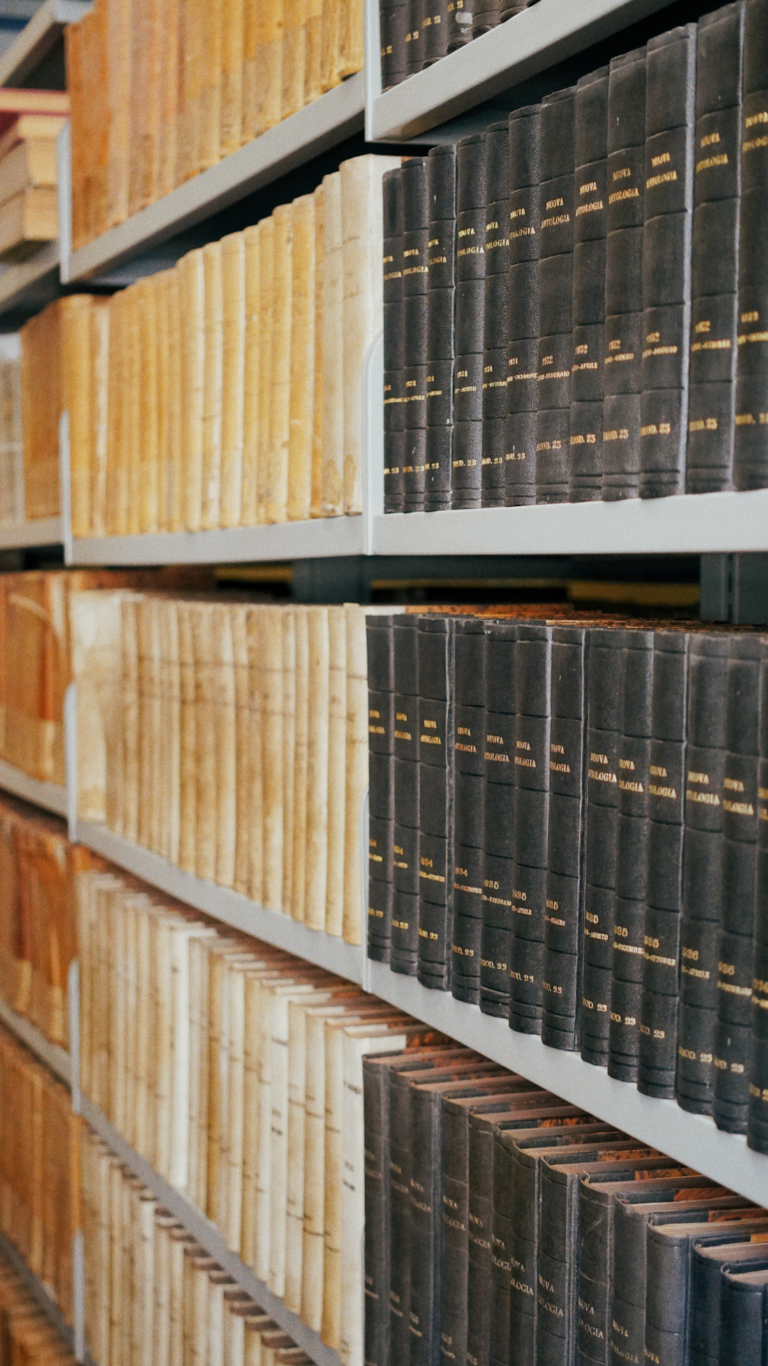 Bookshelves are filled with old books.