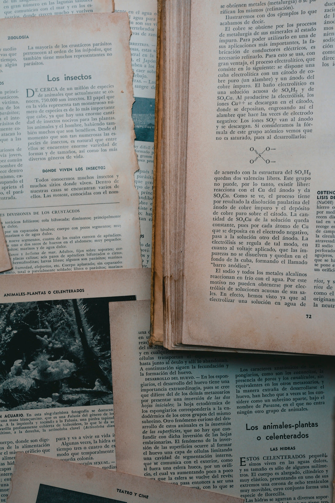 Old book and papers with printed text.