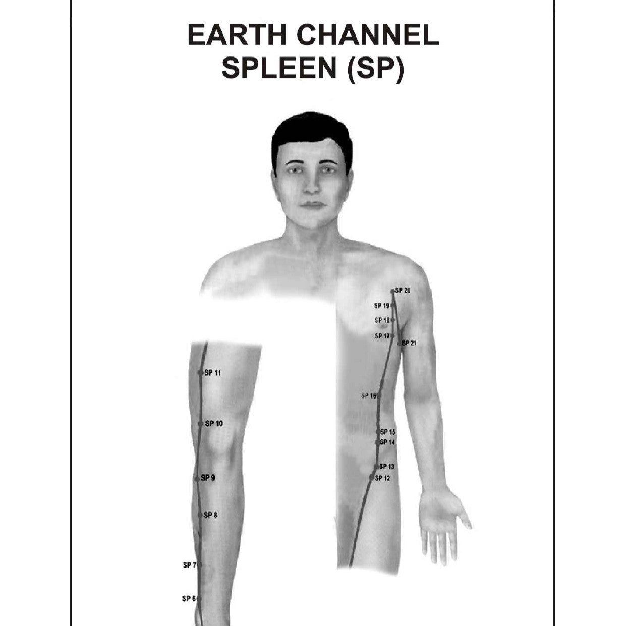 Acupuncture Points Picture Book – Learn with Clear Visuals