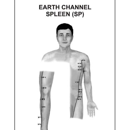 Acupuncture Points Picture Book – Learn with Clear Visuals