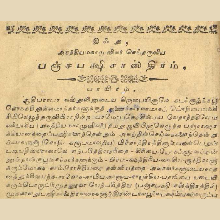 பஞ்சபட்சி சாஸ்திரம் – ஐந்து பறவைகளின் அதிசய ரகசியம்