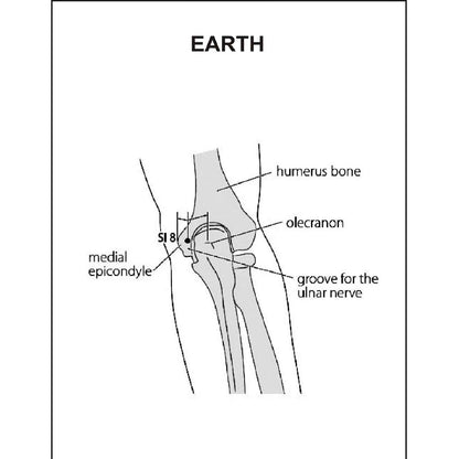 Acupuncture Points Picture Book – Learn with Clear Visuals