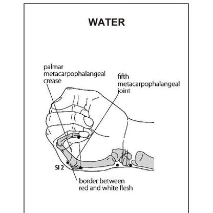Acupuncture Points Picture Book – Learn with Clear Visuals