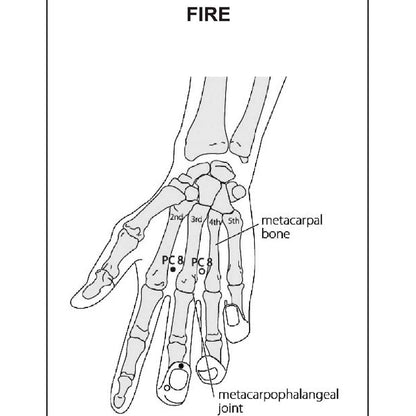Acupuncture Points Picture Book – Learn with Clear Visuals