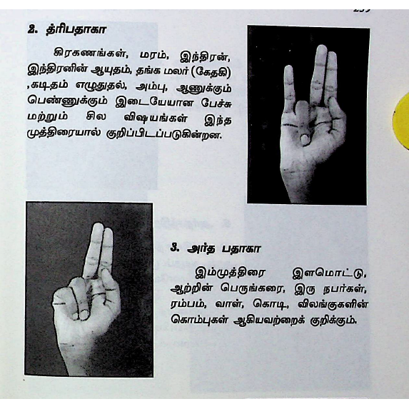 யோக முத்திரைகளின் அதிசய ரகசியம்