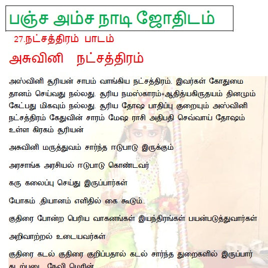 700+ Pages நாடி ஜோதிடம் Master Bundle + அரிய ஒலைச்சுவடி இலவசம்