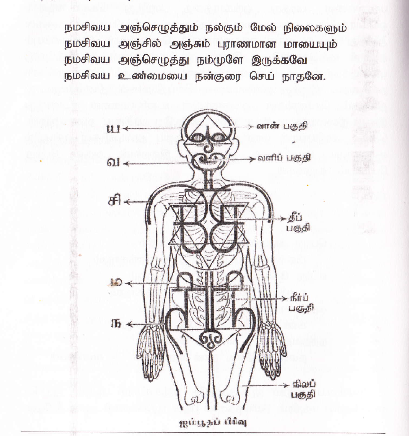 வாசி யோகம் - சித்தர்களின் மூச்சு ரகசியங்கள்
