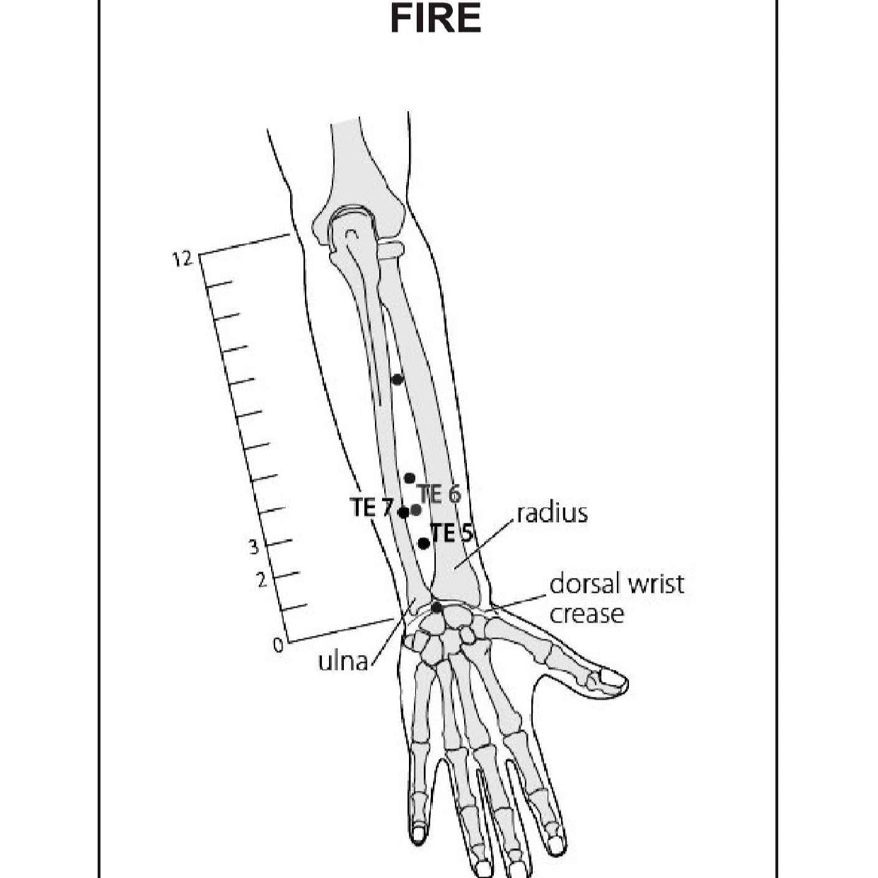 Acupuncture Points Picture Book – Learn with Clear Visuals