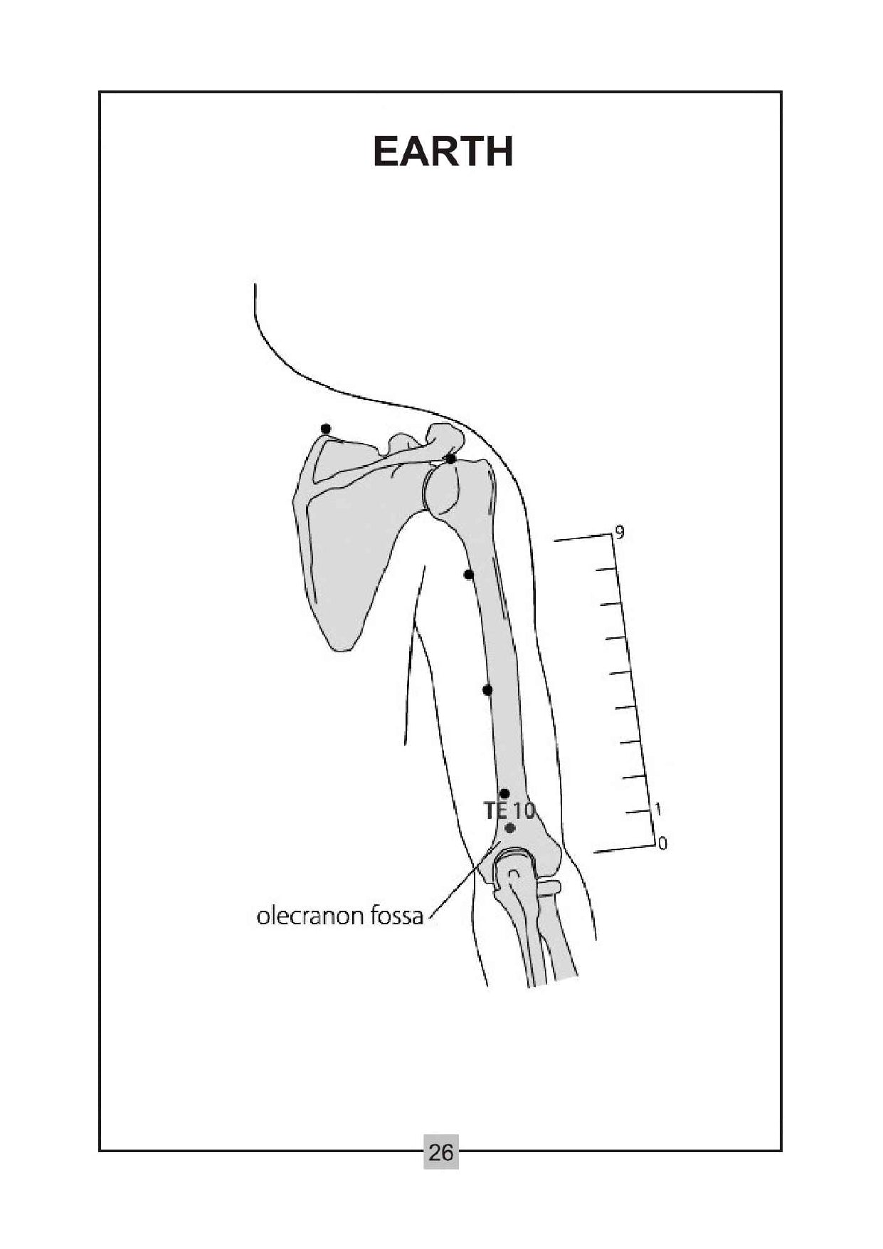 Acupuncture Points Picture Book – Learn with Clear Visuals