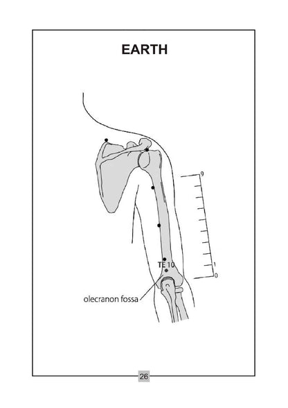 Acupuncture Points Picture Book – Learn with Clear Visuals