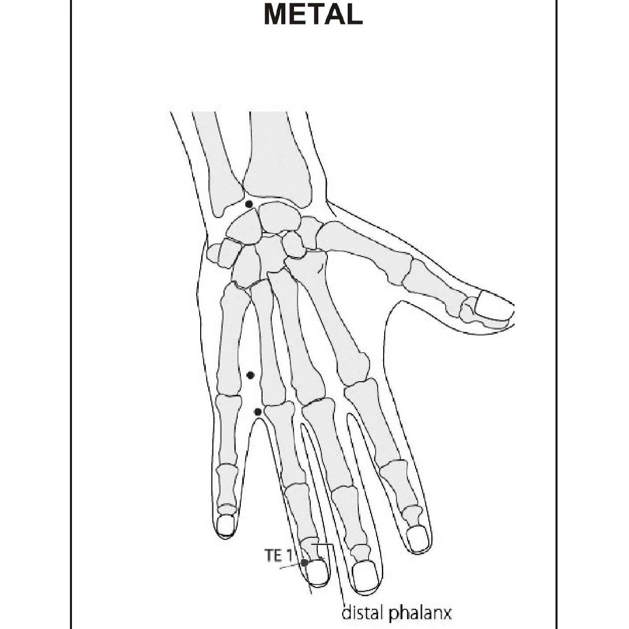 Acupuncture Points Picture Book – Learn with Clear Visuals
