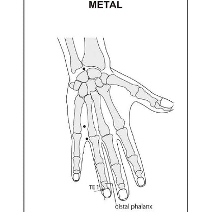 Acupuncture Points Picture Book – Learn with Clear Visuals