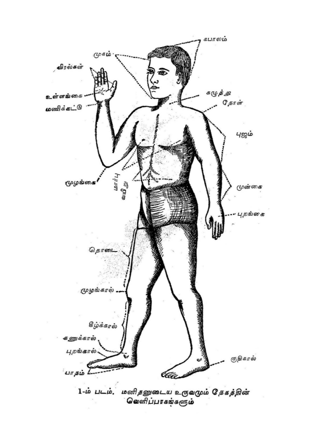 23 தொன்மையான சித்த வைத்திய சூட்சம நூல்கள்