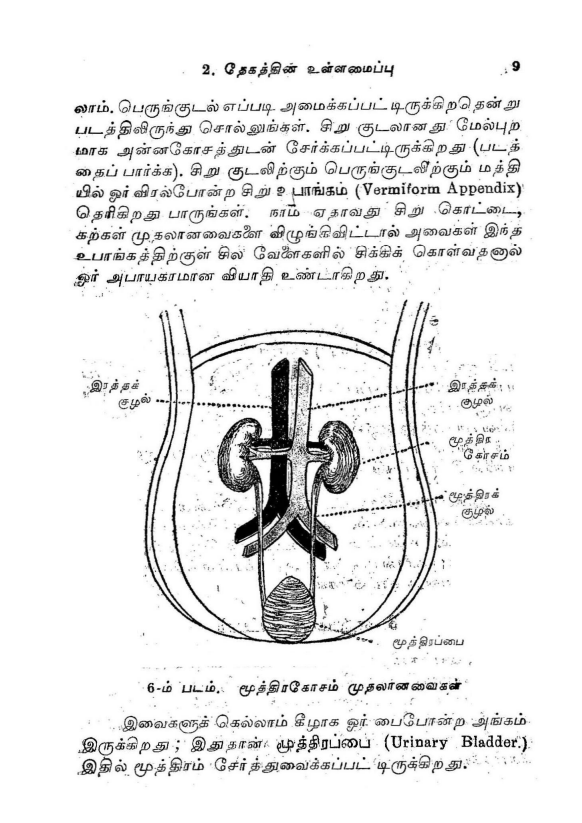23 தொன்மையான சித்த வைத்திய சூட்சம நூல்கள்