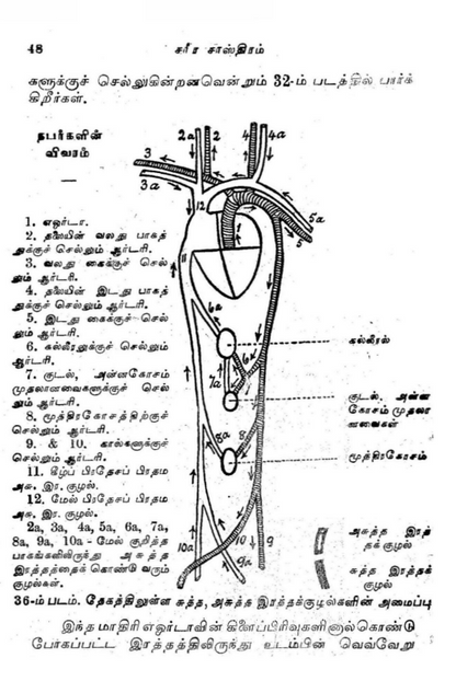 23 தொன்மையான சித்த வைத்திய சூட்சம நூல்கள்
