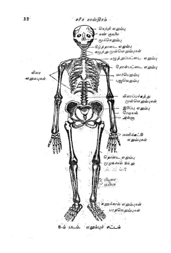 23 தொன்மையான சித்த வைத்திய சூட்சம நூல்கள்