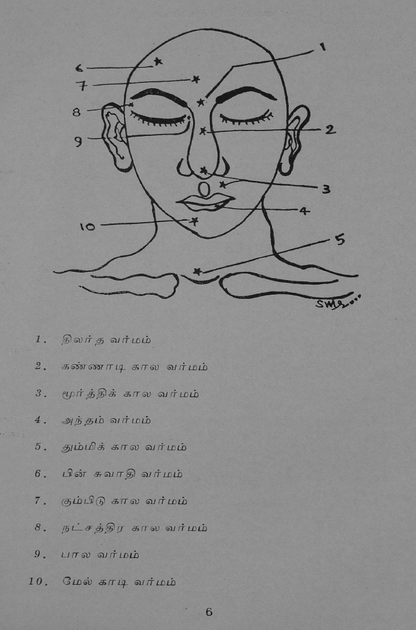 23 தொன்மையான சித்த வைத்திய சூட்சம நூல்கள்