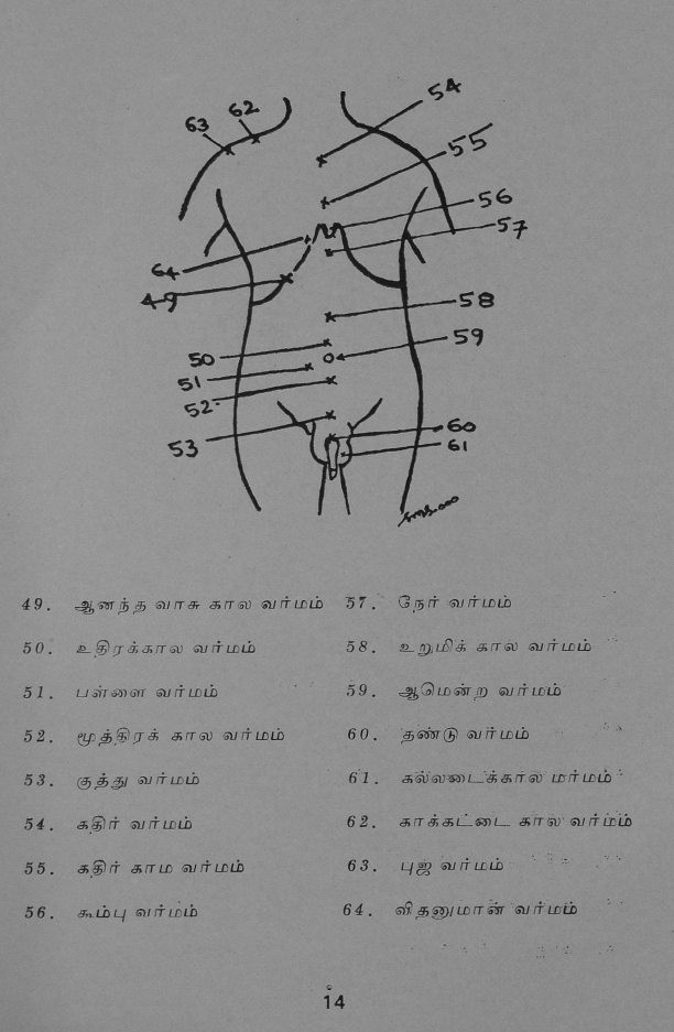 23 தொன்மையான சித்த வைத்திய சூட்சம நூல்கள்