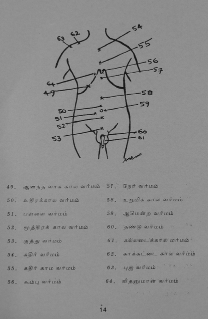 23 தொன்மையான சித்த வைத்திய சூட்சம நூல்கள்
