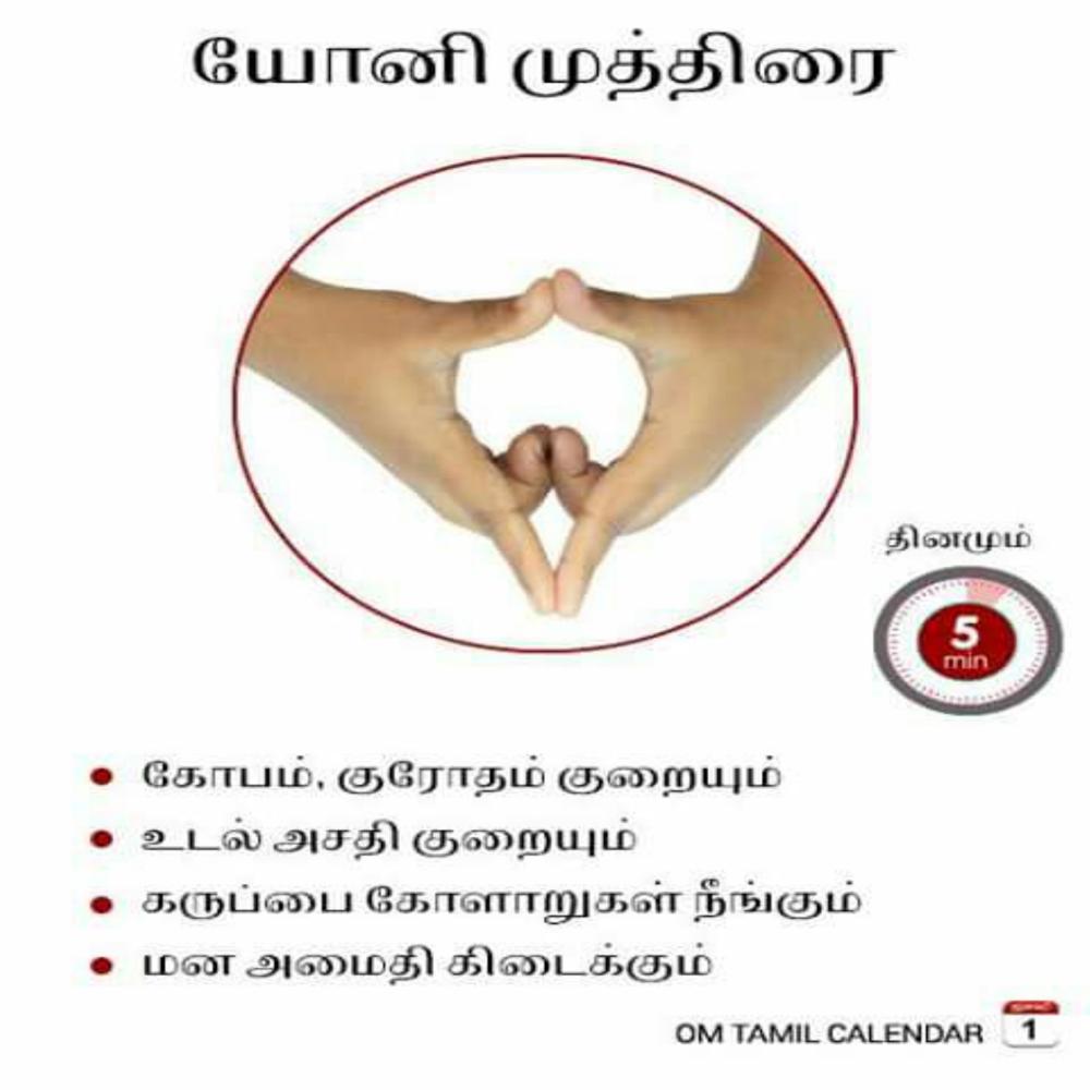 Complete Yoga Practice Set – யோகா ஆசனங்கள், மூச்சுப் பயிற்சி, முத்திரைகள் (12 புத்தகங்கள்)