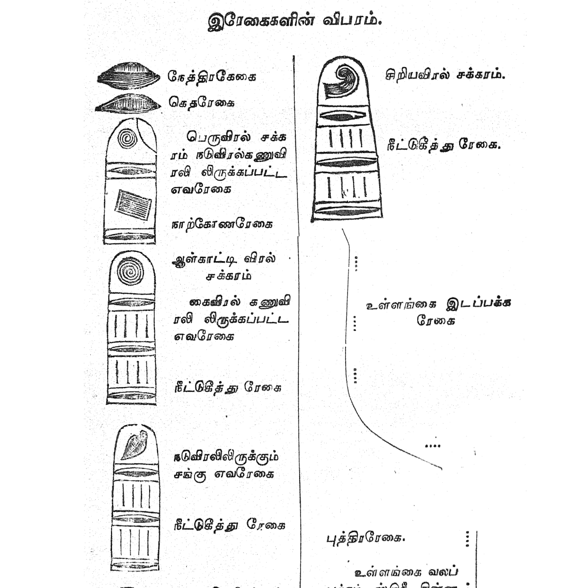 கைரேகை சாஸ்திரம் - 632 அசல் உரை + விளக்கம் - 1928