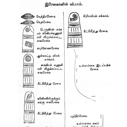 கைரேகை சாஸ்திரம் - 632 அசல் உரை + விளக்கம் - 1928